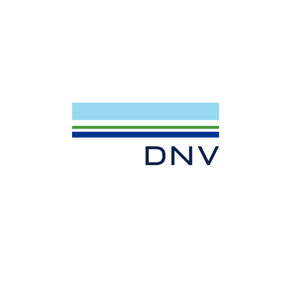 10. DNV 1